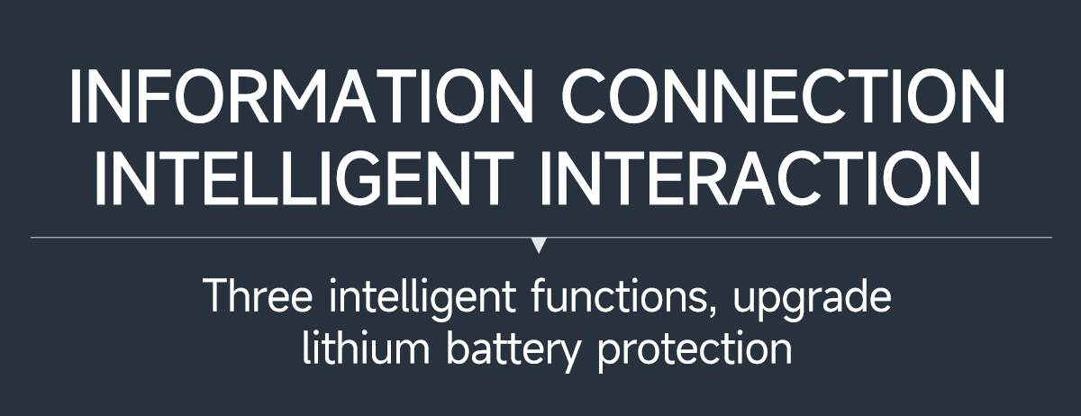 Active Battery Management System