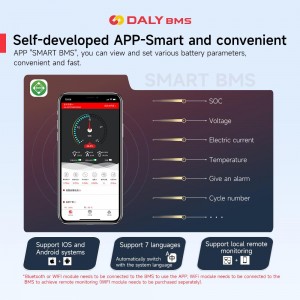 BMS 4S 12V Lifepo4  Smart BMS  DALY S Series